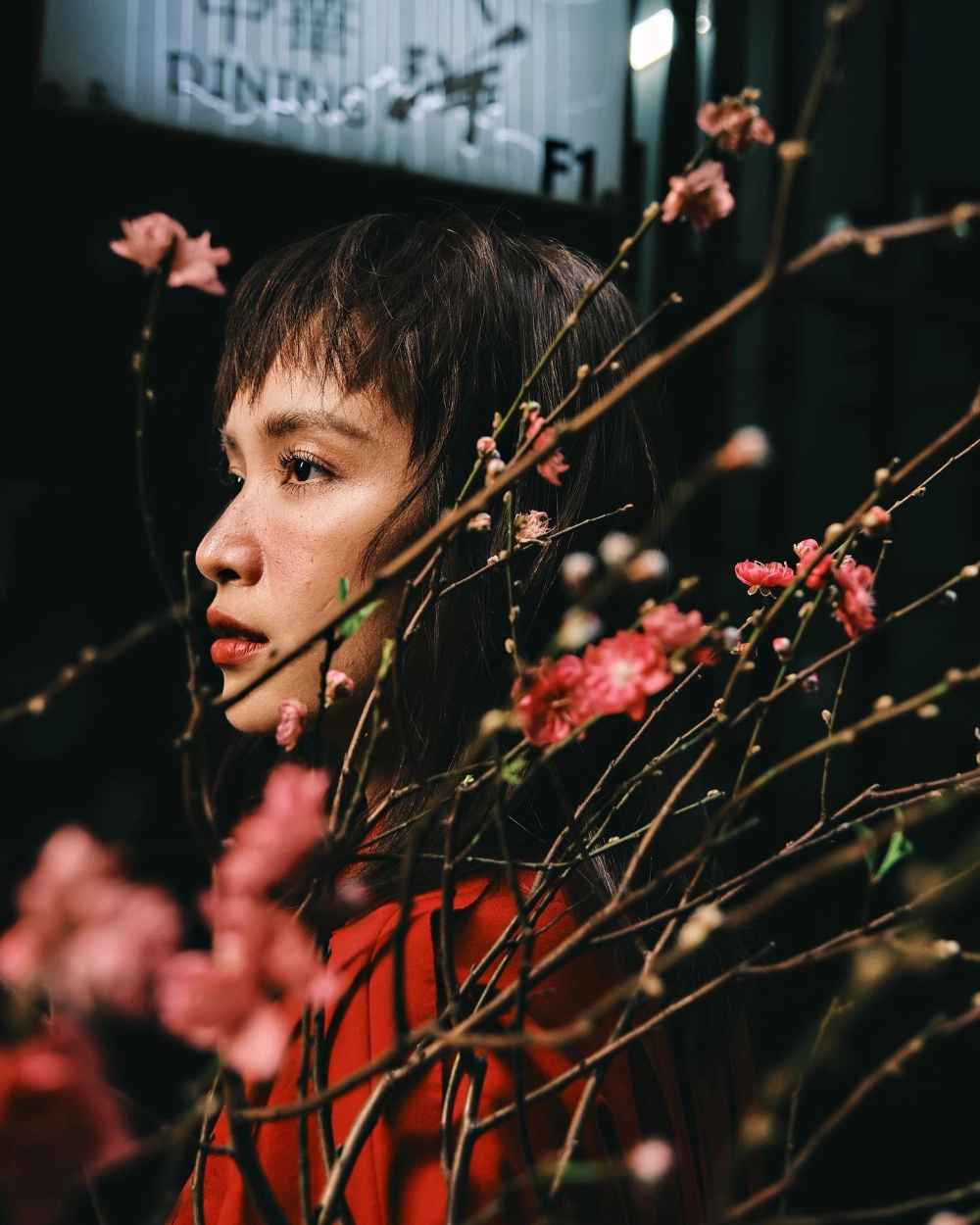 Lời bài hát Ái Phương đường về nhà, cảm xúc dạt dào về mái ấm gia đình