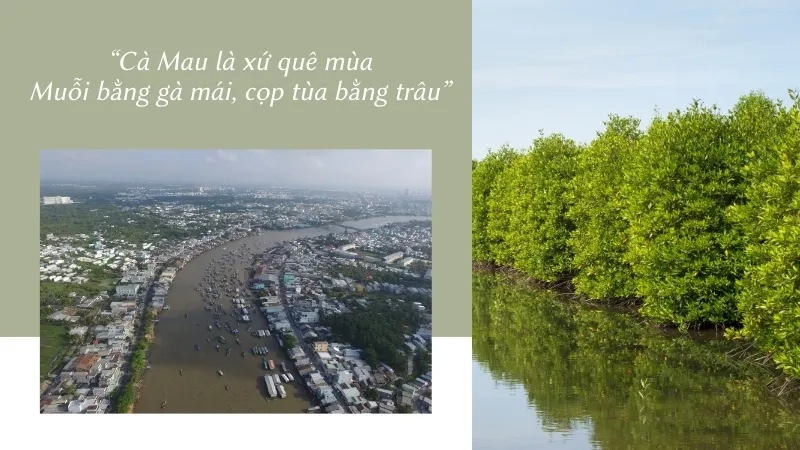 Cà Mau là xứ quê mùa Muỗi bằng gà mái, cọp tùa bằng trâu