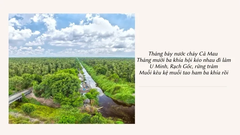 Tháng bảy nước chảy Cà Mau Tháng mười ba khía hội kéo nhau đi làm