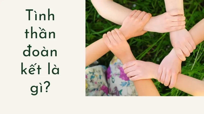 Tình thần đoàn kết là gì?