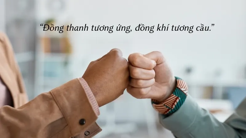 Đồng thanh tương ứng, đồng khí tương cầu