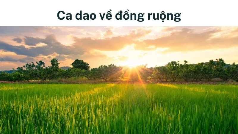 Ca dao về đồng ruộng