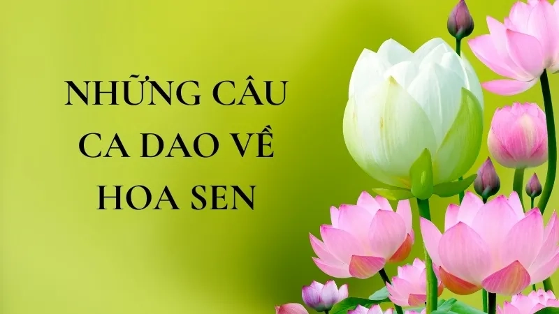Những câu ca dao về hoa sen