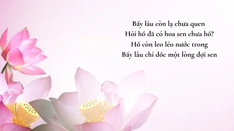 Bấy lâu còn lạ chưa quen Hỏi hồ đã có hoa sen chưa hồ?