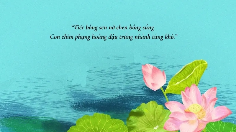  Tiếc bông sen nở chen bông súng Con chim phụng hoàng đậu trúng nhành tùng khô