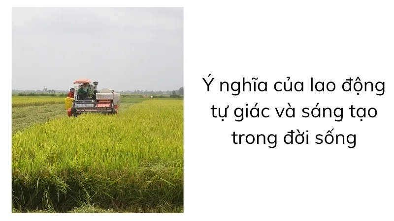 Ý nghĩa của lao động tự giác và sáng tạo trong đời sống