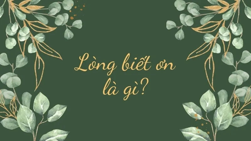 Lòng biết ơn là gì?