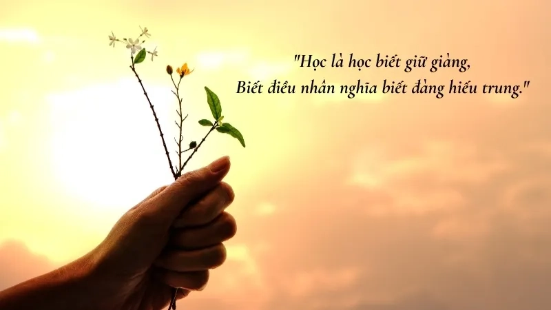 Học là học biết giữ giàng, Biết điều nhân nghĩa biết đàng hiếu trung