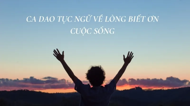 Ca dao tục ngữ về lòng biết ơn cuộc sống