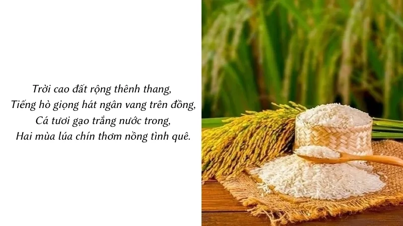 Trời cao đất rộng thênh thang, Tiếng hò giọng hát ngân vang trên đồng