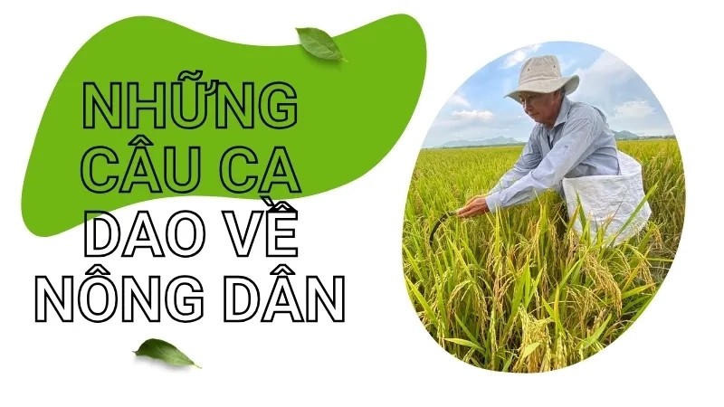 Những câu ca dao về nông dân