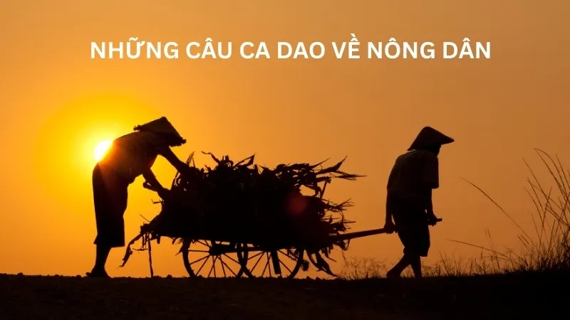 Những câu ca dao về nông dân