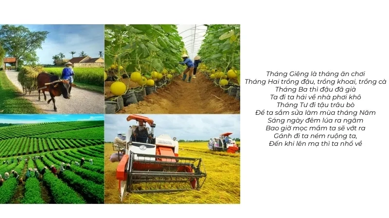  Tháng Giêng là tháng ăn chơi Tháng Hai trồng đậu, trồng khoai, trồng cà