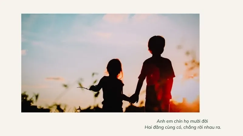 Anh em chín họ mười đời Hai đằng cùng có, chẳng rời nhau ra