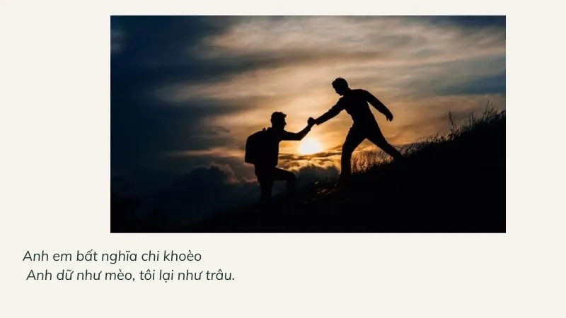 Anh em bất nghĩa chi khoèo Anh dữ như mèo, tôi lại như trâu