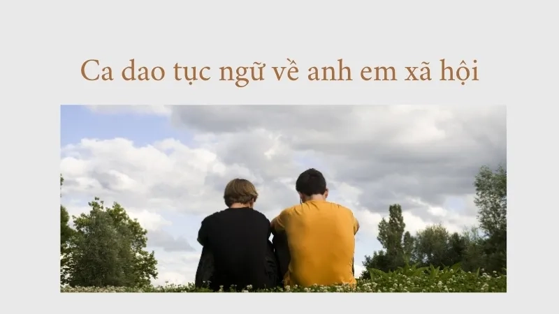 Ca dao tục ngữ về anh em xã hội