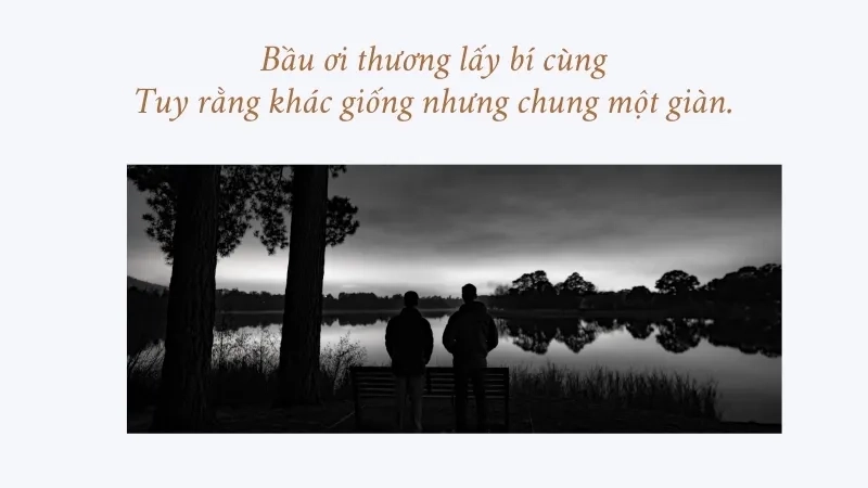 Bầu ơi thương lấy bí cùng Tuy rằng khác giống nhưng chung một giàn