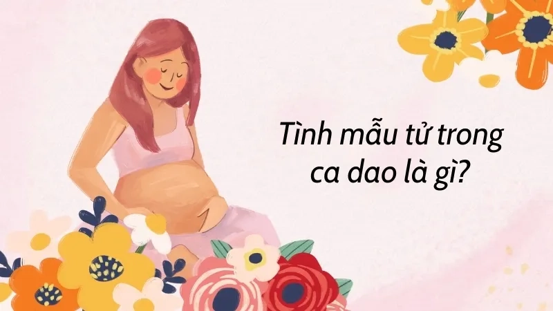 Tình mẫu tử trong ca dao là gì?