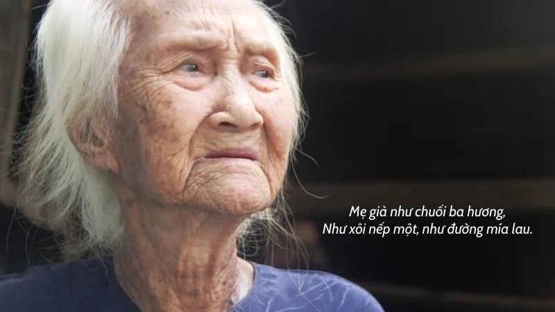  Mẹ già như chuối ba hương, Như xôi nếp một, như đường mía lau