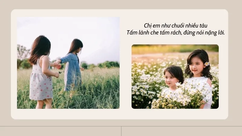 Chị em như chuối nhiều tàu Tấm lành che tấm rách, đừng nói nặng lời