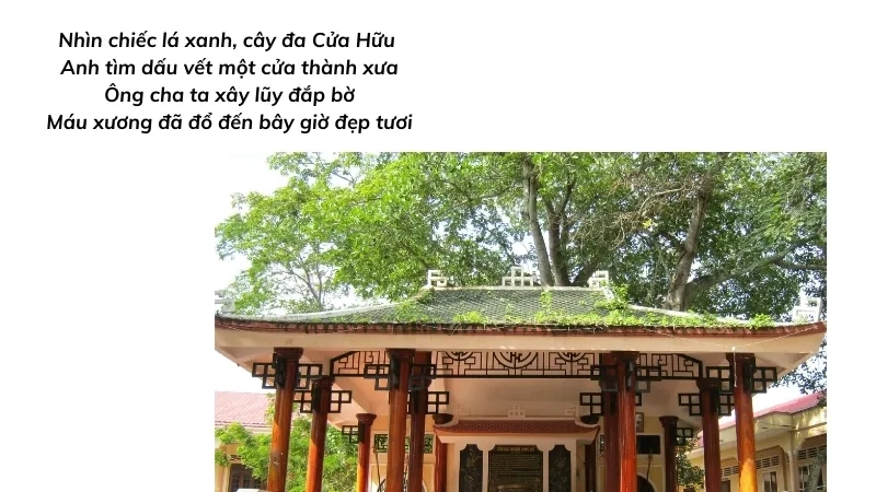 Nhìn chiếc lá xanh, cây đa Cửa Hữu Anh tìm dấu vết một cửa thành xưa