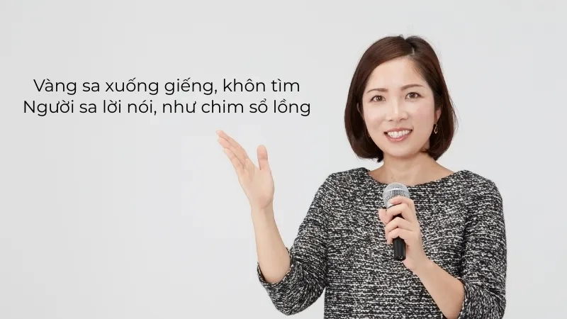 Vàng sa xuống giếng, khôn tìm Người sa lời nói, như chim sổ lồng