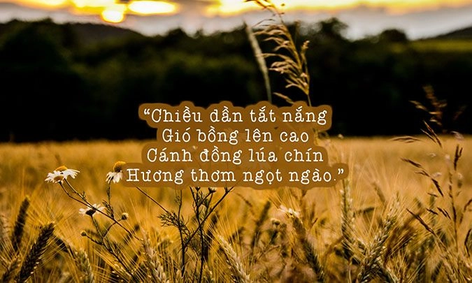 Bâng khuâng dịu dàng Chiều nắng xuân