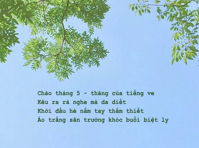 Tàn phai kỷ niệm Cuối hạ