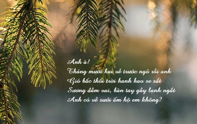Se lạnh đầu đông gọi Gió tháng Chạp