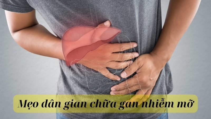 Mẹo dân gian chữa gan nhiễm mỡ hiệu quả tại nhà