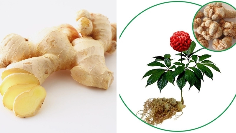 Mẹo chữa rối loạn tiền đình tại nhà bằng củ gừng và tam thất