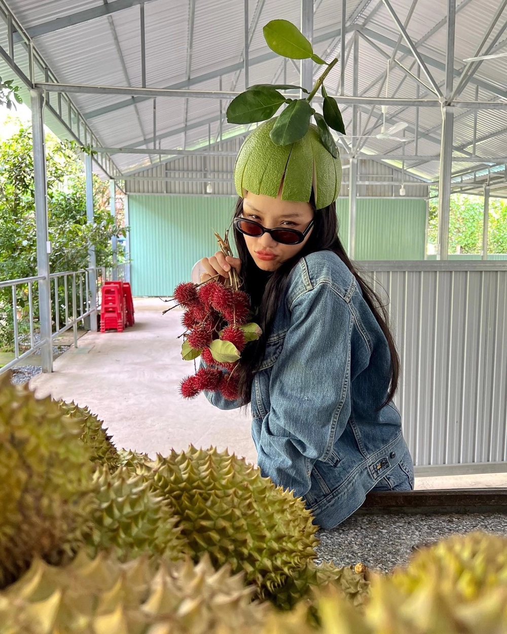 Mơ mộng cùng giấc mơ thần tiên Miu Lê ngọt ngào