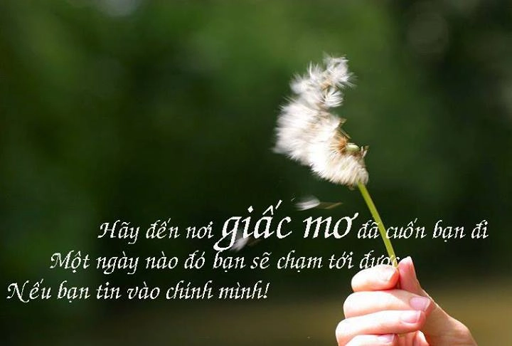 Tay em chạm nhẹ Một ước mơ