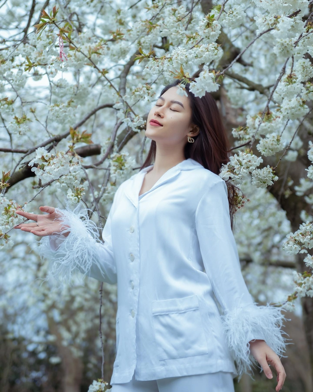 Ngọc Thanh Tâm là ai và tiểu sử đầy đủ nhất