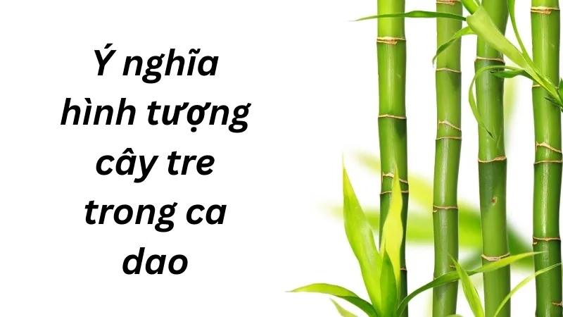 Ý nghĩa hình tượng cây tre trong ca dao