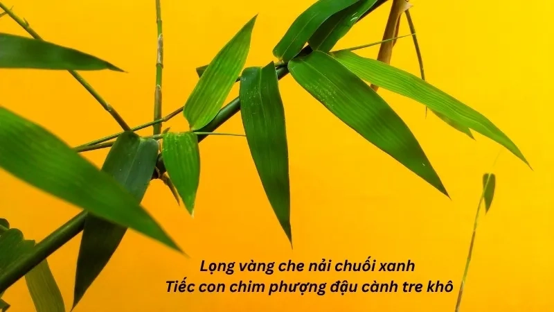 Lọng vàng che nải chuối xanh Tiếc con chim phượng đậu cành tre khô