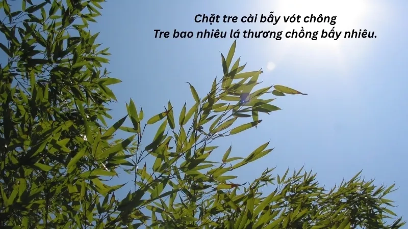 Chặt tre cài bẫy vót chông Tre bao nhiêu lá thương chồng bấy nhiêu