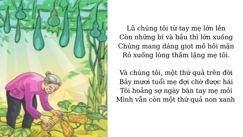 Bài thơ Mẹ và quả nhẹ nhàng mà sâu lắng