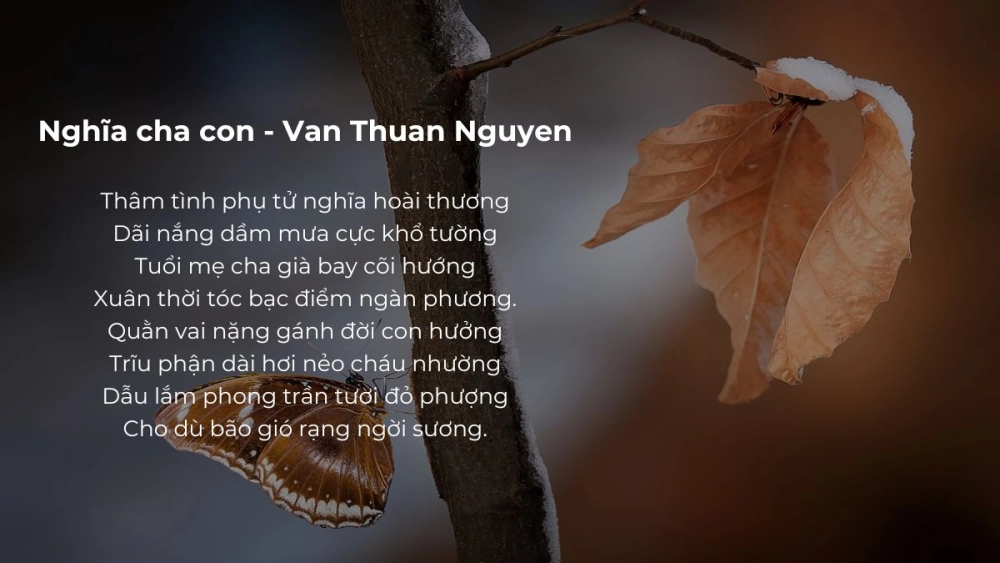 Những bài thơ về cha làm rõ Nghĩa cha con thiêng liêng