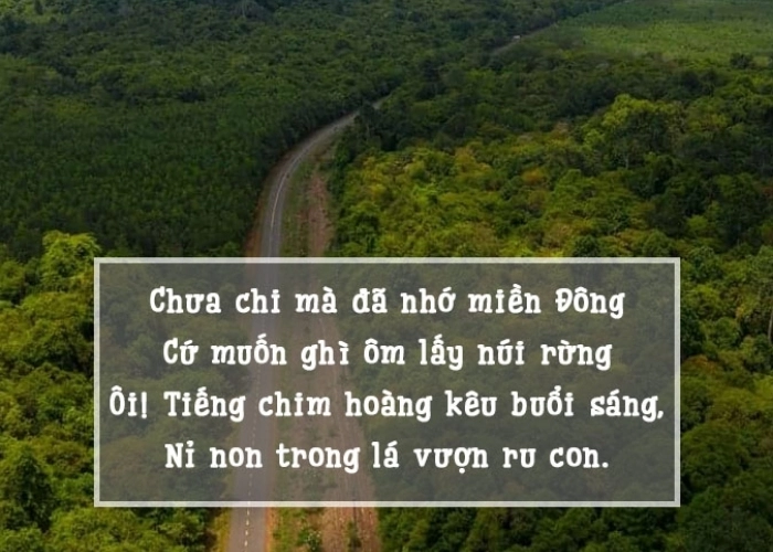 Bài thơ về đồng nai mời gọi bước chân Về với đồng nai