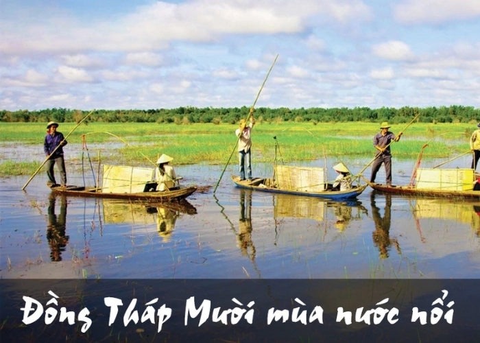 Bài thơ về đồng tháp tái hiện Tháp Mười mùa nước nổi