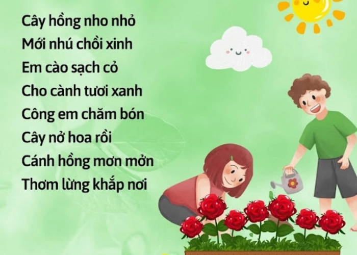 Sắc đẹp vĩnh cửu từ Cây hoa hồng