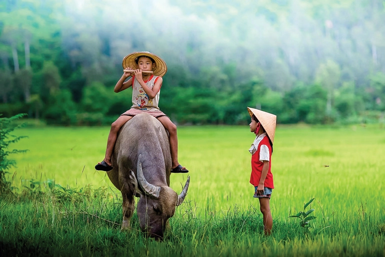 Tiếng tre ru ngủ Hồn quê