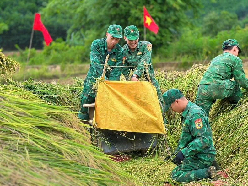Tình quê hằn in Sống chung với lũ