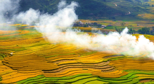 Âm vang ruộng đồng Bài ca cây lúa