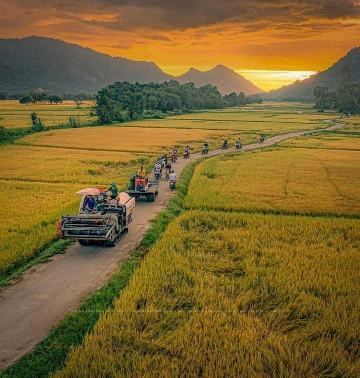 Êm đềm kí ức Cánh đồng làng