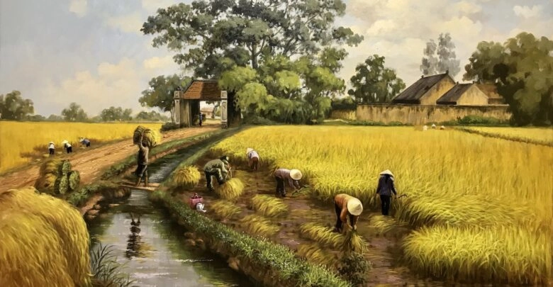 Gắn bó thân thương Cây lúa quê hương