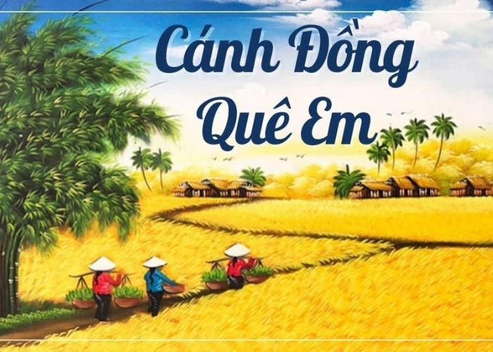 Lặng lẽ bình yên Cánh đồng quê em