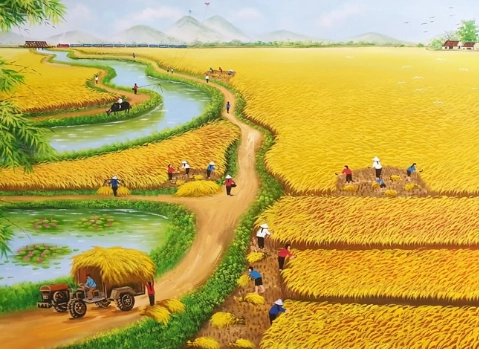 Vàng ươm rực rỡ Mùa lúa chín