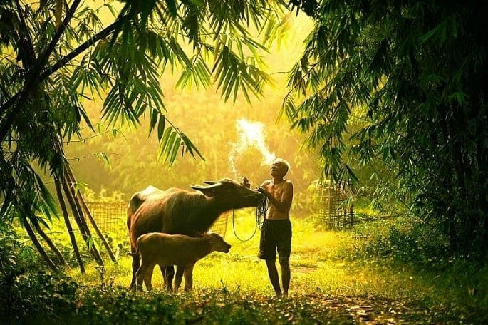 Hơi thở truyền đời Tre già măng mọc